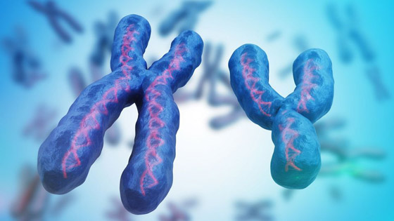 إنجاز علمي خارق: فك لغز الكروموسوم 