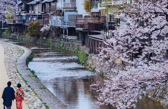 أكثر المدن رومانسية في العالم.. باريس إحداها صورة رقم 4