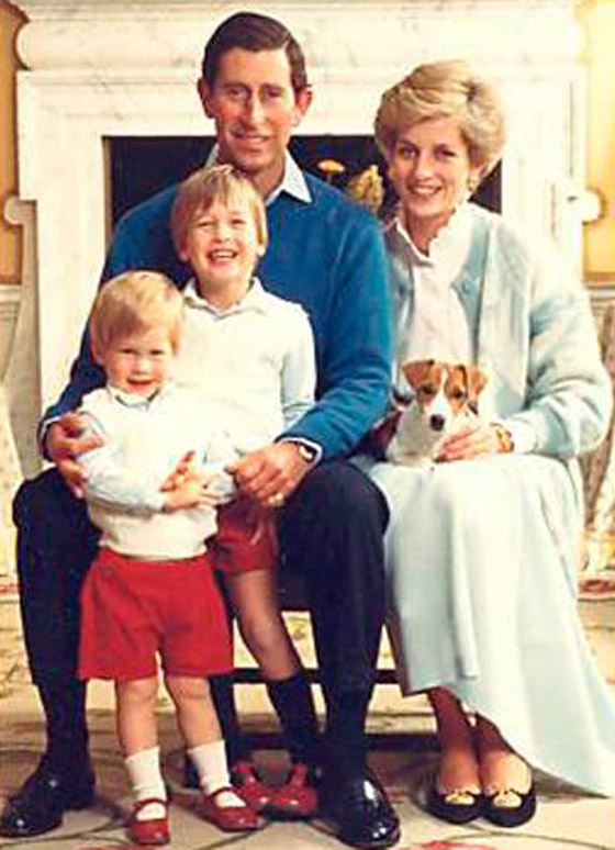 إليكم الأسباب التي أدت إلى طلاق الأميرة ديانا والملك تشارلز صورة رقم 8 إليكم الأسباب التي أدت إلى طلاق الأميرة ديانا والملك تشارلز صورة رقم 8