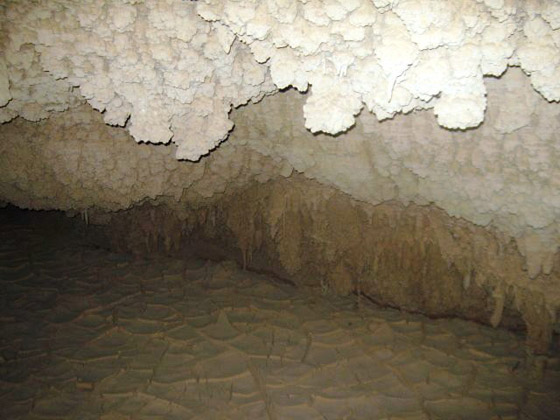 كهف وادي سنور.. أقدم كهوف العالم وأروعها صورة رقم 8