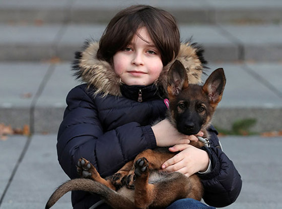 لوران سيمونز.. الطفل المعجزة الذي أكمل تعليمه الجامعي في الـ9 صورة رقم 1