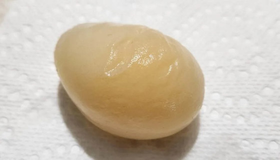 بيضة دجاجة غريبة بدون قشرة تثير ضجة صورة رقم 1