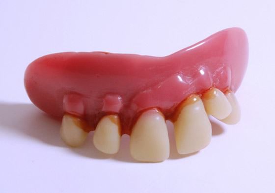 من بينها حجر أليف.. 4 اختراعات تافهة لكنها جعلت أصحابها أغنياء صورة رقم 1