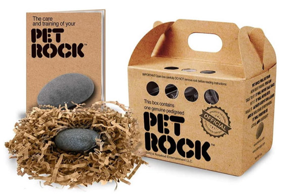 من بينها حجر أليف.. 4 اختراعات تافهة لكنها جعلت أصحابها أغنياء صورة رقم 2