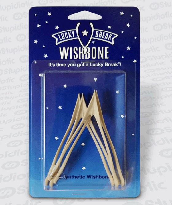 من بينها حجر أليف.. 4 اختراعات تافهة لكنها جعلت أصحابها أغنياء صورة رقم 4