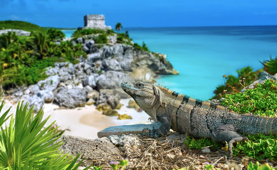 بينها دولة عربية.. دول يُنصح بالعيش فيها.. ثقافة وطعام لذيذ وترحيب صورة رقم 1