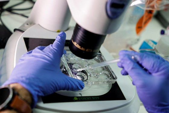 الأجنة البشرية الاصطناعية: تساؤلات أخلاقية لا تنتهي! صورة رقم 4