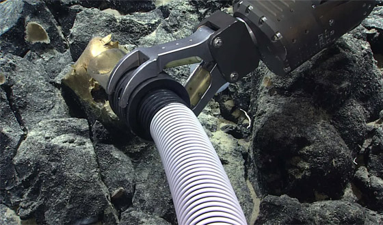 جسم ذهبي غريب انتشل من أعماق المحيط يثير حيرة العلماء! صور صورة رقم 3