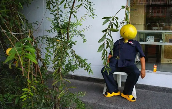 صور مدهشة التقطت تمامًا في الوقت المناسب! صورة رقم 2