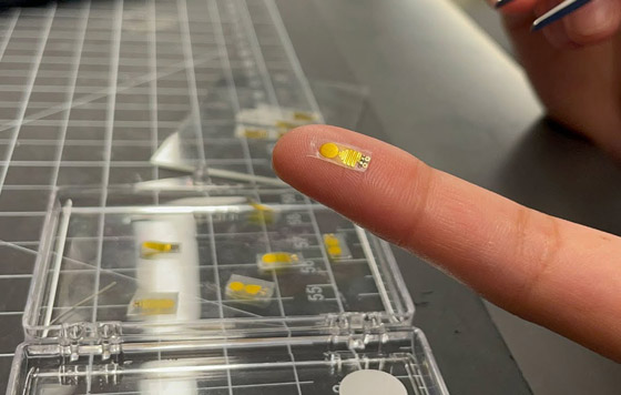 أول جهاز إنذار لمراقبة صحة الأعضاء المزروعة! صورة رقم 2