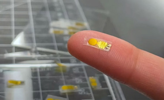 أول جهاز إنذار لمراقبة صحة الأعضاء المزروعة! صورة رقم 6