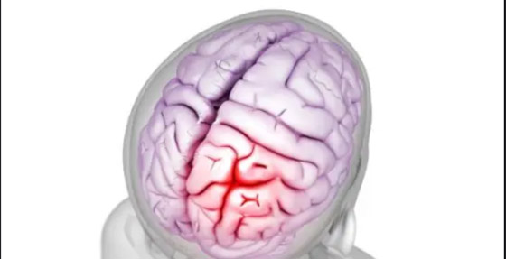 لماذا كان الإنسان القديم يثقب جمجمته؟ صورة رقم 2