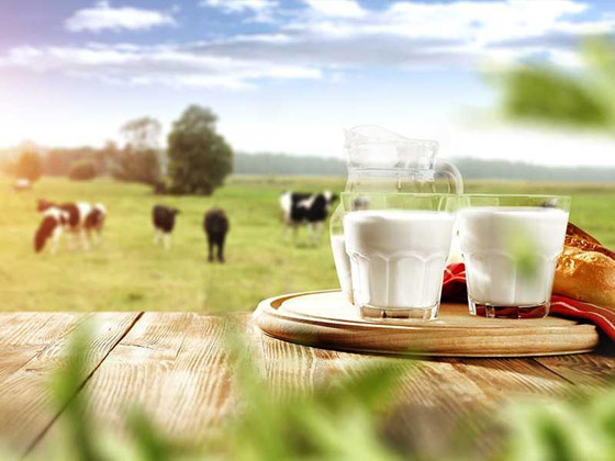 5 أطعمة ترفع مستويات الطاقة.. على رأسها مصدر نباتي! صورة رقم 4