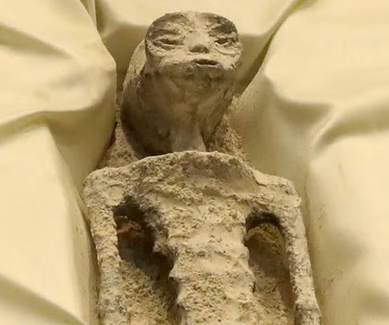 لماذا يهتم الناس كثيرا بإمكانية وجود مخلوقات فضائية؟ صورة رقم 13