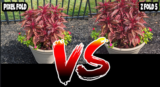 أبرز الاختلافات بين غوغل Pixel Fold وسامسونغ Z Fold 5 صورة رقم 2