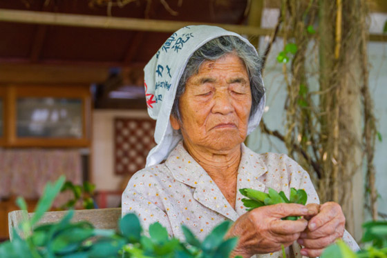 تنتمي للمناطق الزرقاء.. جزيرة أوكيناوا اليابانية يعيش سكانها أكثر من 100 سنة صورة رقم 8