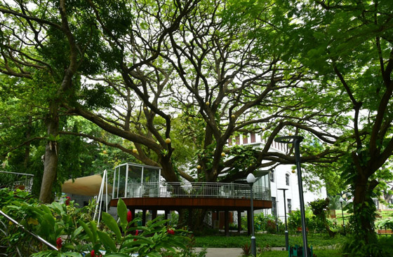 4 عناوين جاذبة للأزواج لقضاء شهر عسل رومانسي في ماليه صورة رقم 2