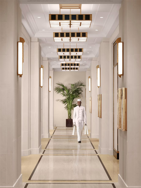 فندق فاخر استغرق بناؤه 30 عامًا أصبح أكثر العقارات المرتقبة في لندن صورة رقم 10