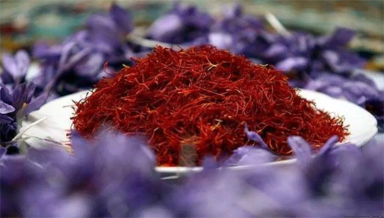 هل تتناول الزعفران؟ فوائد صحية ذهبية وخطر في هذه الحالة! صورة رقم 6 هل تتناول الزعفران؟ فوائد صحية ذهبية وخطر في هذه الحالة! صورة رقم 6