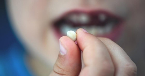 بعد نجاح التجارب على الفئران.. دواء لإنبات أسنان بشرية جديدة صورة رقم 4