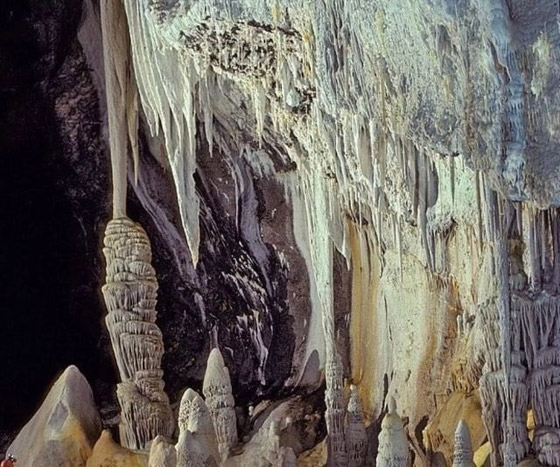 العثور على بركة 