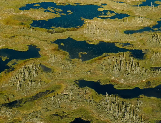 بلد يحوي كنزا بـ67 مليار دولار مدفون بأراضيه.. إليكم التفاصيل صورة رقم 3 بلد يحوي كنزا بـ67 مليار دولار مدفون بأراضيه.. إليكم التفاصيل صورة رقم 3