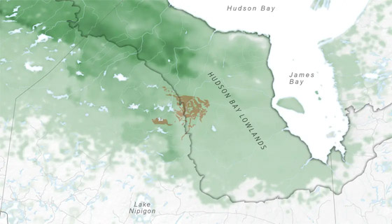 بلد يحوي كنزا بـ67 مليار دولار مدفون بأراضيه.. إليكم التفاصيل صورة رقم 4 بلد يحوي كنزا بـ67 مليار دولار مدفون بأراضيه.. إليكم التفاصيل صورة رقم 4