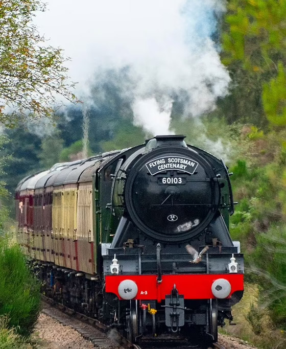 صور: جرحى في حادث اصطدام بين قطارين في اسكتلندا صورة رقم 6 صور: جرحى في حادث اصطدام بين قطارين في اسكتلندا صورة رقم 6