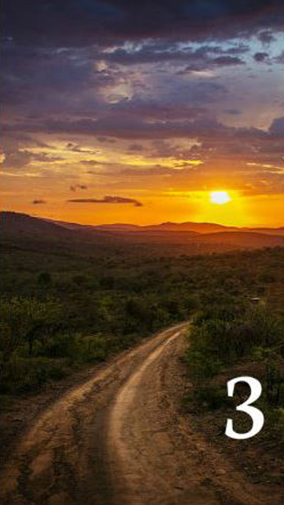 اختر صورة لتعرف.. اختبار شخصية يكشف طريق السعادة صورة رقم 4 اختر صورة لتعرف.. اختبار شخصية يكشف طريق السعادة صورة رقم 4