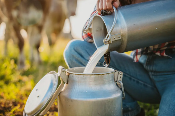 بينها الفاكهة والخضار المقطعة مسبقاً.. 4 أطعمة احذرها صورة رقم 2
