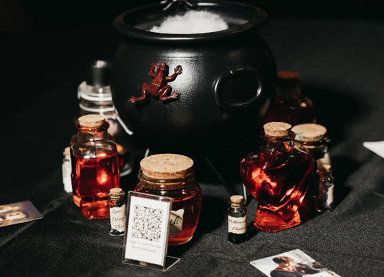 ينفقان 15 ألف دولار على زفاف مستوحى من هاري بوتر ! صورة رقم 2