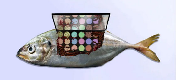 أغرب 9 مواد تستعمل في صناعة مستحضرات التجميل! صورة رقم 1