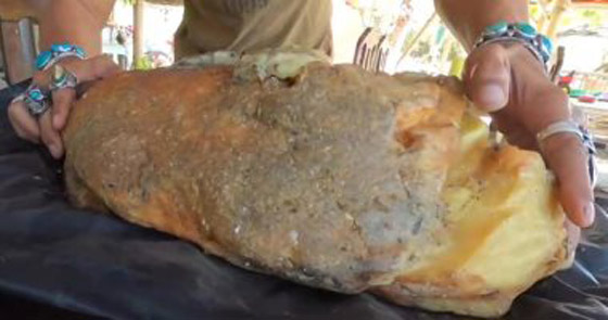 أغرب 9 مواد تستعمل في صناعة مستحضرات التجميل! صورة رقم 2