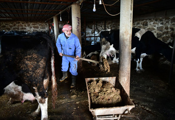 أغرب 9 مواد تستعمل في صناعة مستحضرات التجميل! صورة رقم 8