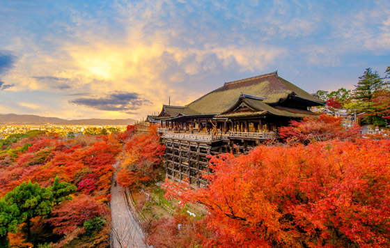 السياحة في الخريف.. وجهات جذابة ترضي أذواق المسافرين صورة رقم 3