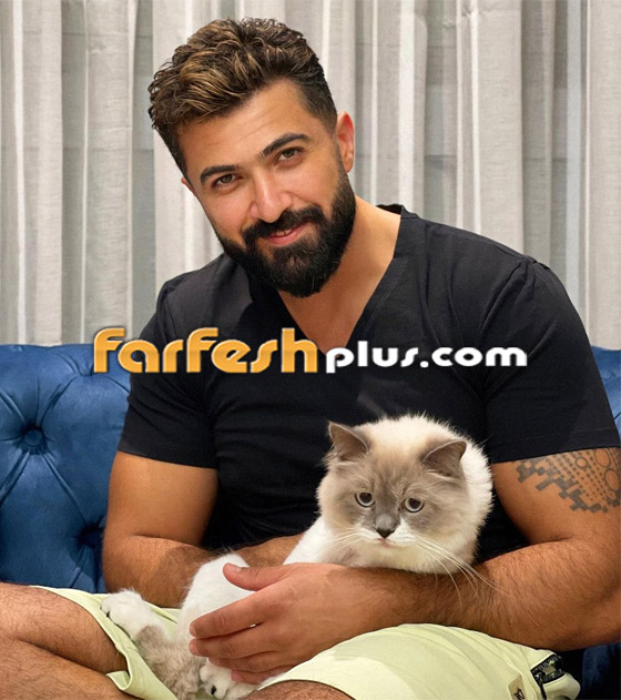 فيديو: اللبنانية داليدا خليل ترقص بأحضان فنان عراقي بعد قبلة عمرو دياب.. والجمهور: فيديو: اللبنانية داليدا خليل ترقص بأحضان فنان عراقي بعد قبلة عمرو دياب.. والجمهور: