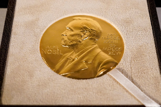 حروب وانقلابات وتوتر عالمي.. من سيفوز بجائزة نوبل للسلام هذا العام؟ صورة رقم 3 حروب وانقلابات وتوتر عالمي.. من سيفوز بجائزة نوبل للسلام هذا العام؟ صورة رقم 3