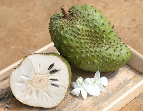 غنية بمضادات الأكسدة والألياف.. فوائد فاكهة الجرافيولا الاستوائية صورة رقم 3 غنية بمضادات الأكسدة والألياف.. فوائد فاكهة الجرافيولا الاستوائية صورة رقم 3