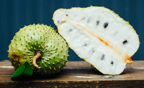 غنية بمضادات الأكسدة والألياف.. فوائد فاكهة الجرافيولا الاستوائية صورة رقم 7 غنية بمضادات الأكسدة والألياف.. فوائد فاكهة الجرافيولا الاستوائية صورة رقم 7