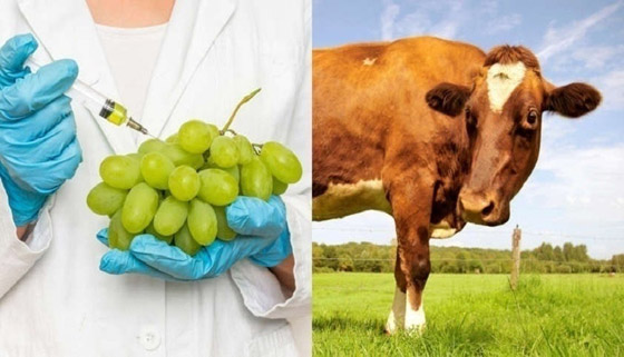 أغرب الأشياء التي يعتقد الأمريكيون أنها حقيقة صورة رقم 1