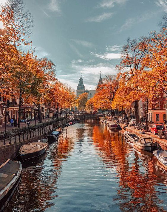 إليكم أسباب تدفع المسافرين لزيارة هولندا في الخريف (صور) صورة رقم 9
