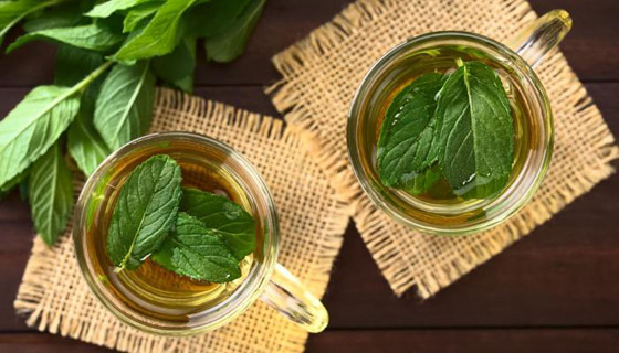 لماذا نشعر بالبرودة عند أكل النعناع ؟ صورة رقم 1