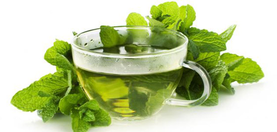 لماذا نشعر بالبرودة عند أكل النعناع ؟ صورة رقم 5