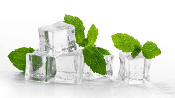 لماذا نشعر بالبرودة عند أكل النعناع ؟ صورة رقم 4