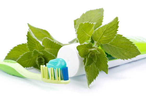 لماذا نشعر بالبرودة عند أكل النعناع ؟ صورة رقم 2