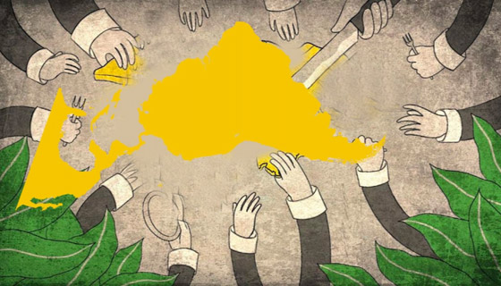 إلى ماذا يشير مصطلح جمهورية الموز في عالم السياسة؟ صورة رقم 6