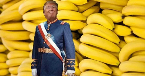 إلى ماذا يشير مصطلح جمهورية الموز في عالم السياسة؟ صورة رقم 3