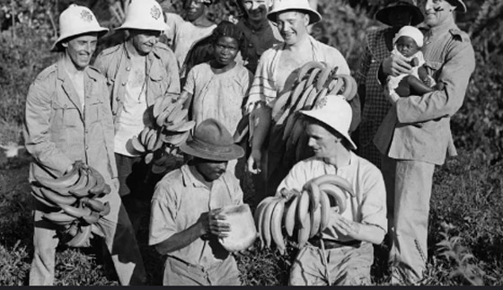 إلى ماذا يشير مصطلح جمهورية الموز في عالم السياسة؟ صورة رقم 2