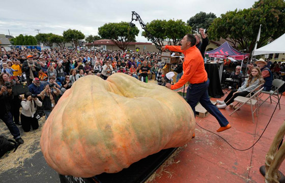 يقطينة عملاقة تزن أكثر من طن تحطم رقما قياسيا عالميا بأمريكا.. صور صورة رقم 1