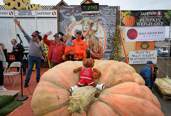يقطينة عملاقة تزن أكثر من طن تحطم رقما قياسيا عالميا بأمريكا.. صور صورة رقم 3